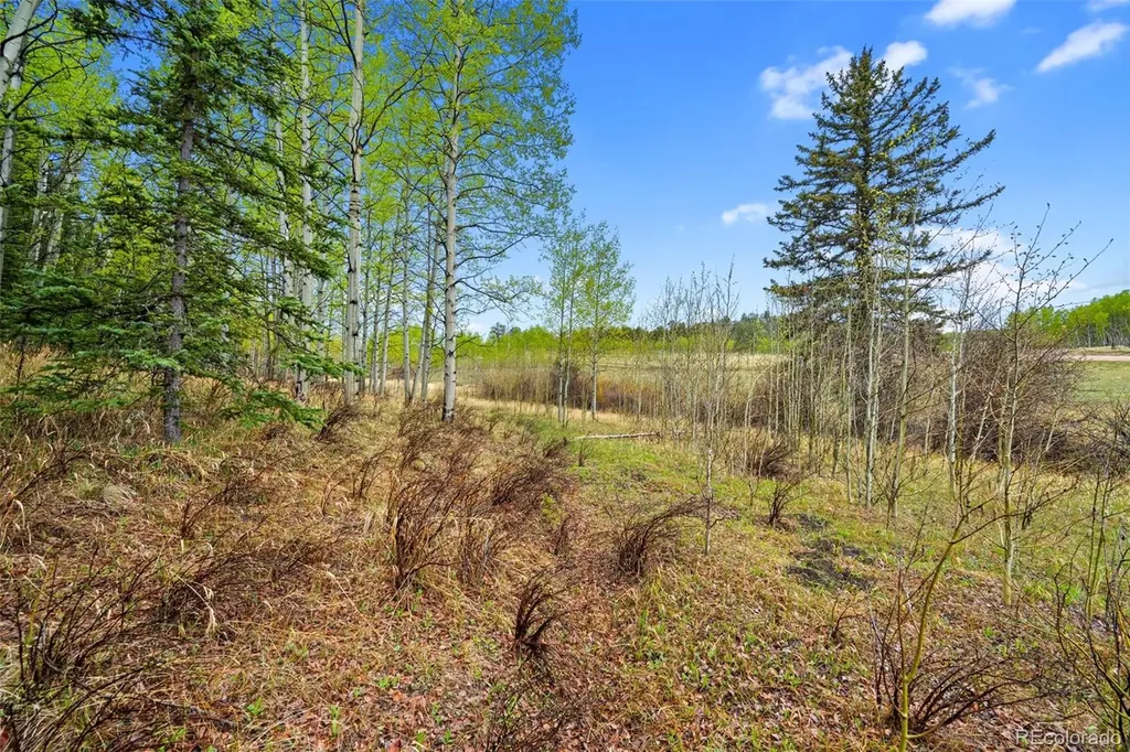 522 Hidden Valley Drive Lake George CO 80827