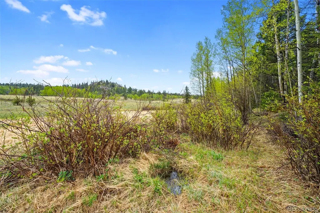 522 Hidden Valley Drive Lake George CO 80827