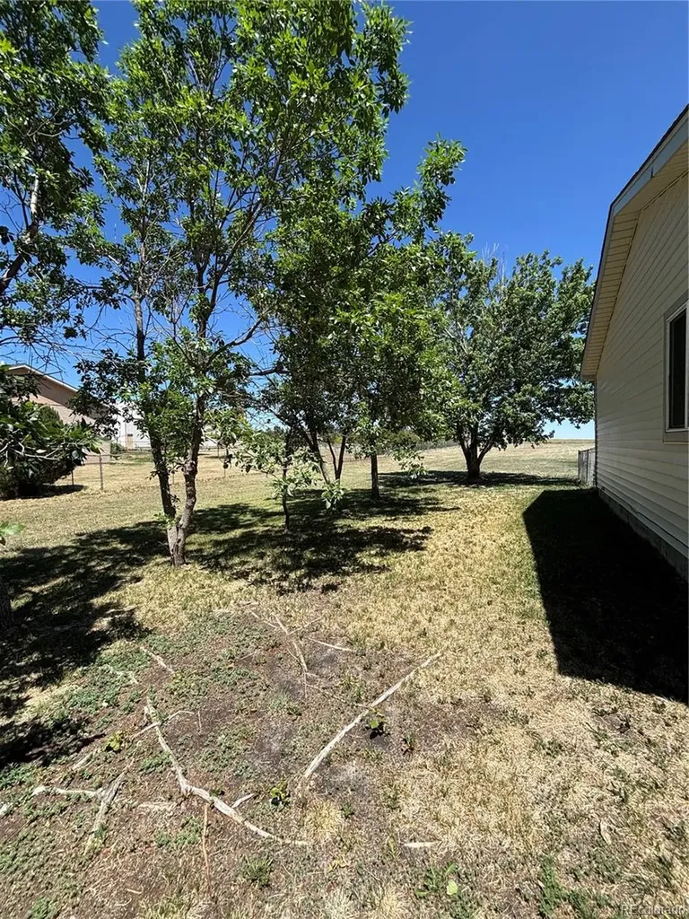 2504 Haskell Place Watkins CO 80137