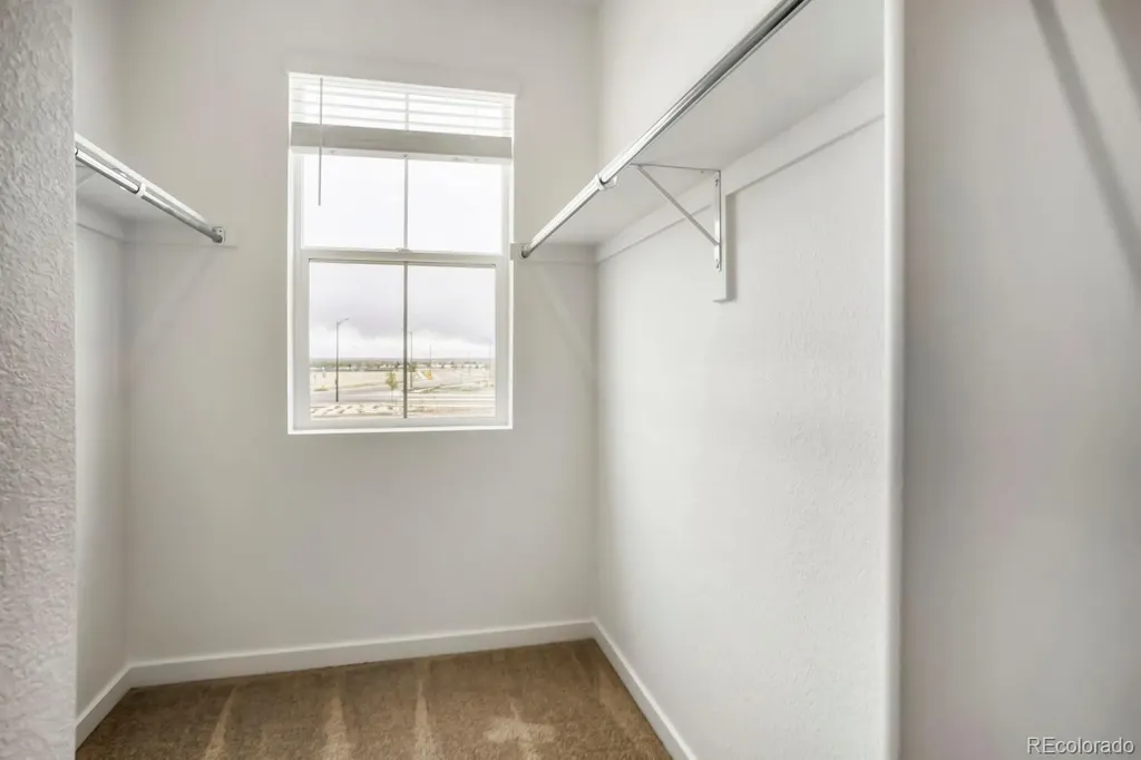 3067 Gladstone Avenue Loveland CO 80538