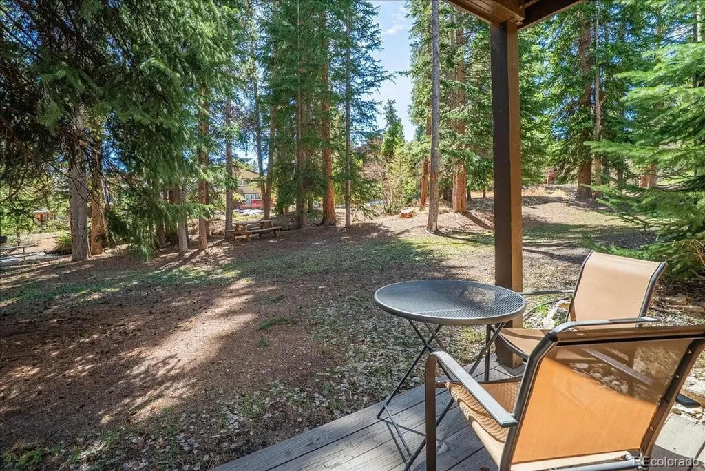 120 Sawmill Road Breckenridge CO 80424