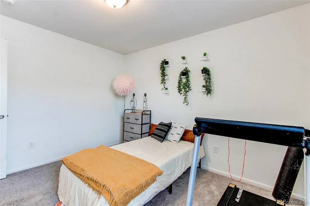 564 Felicity Loop Castle Rock CO 80109