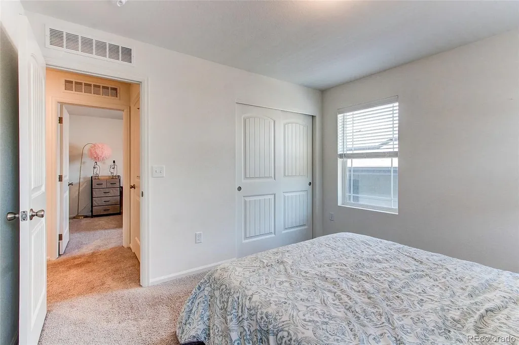 564 Felicity Loop Castle Rock CO 80109