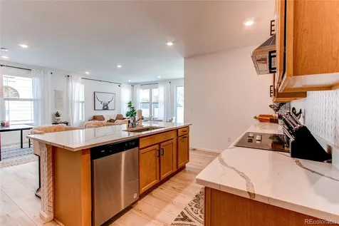564 Felicity Loop Castle Rock CO 80109