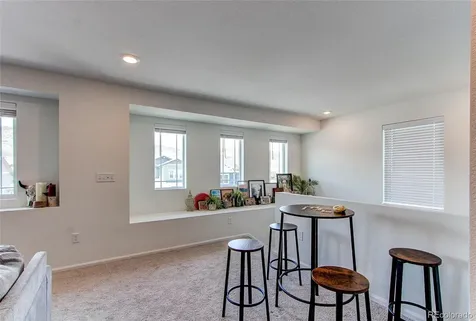 564 Felicity Loop Castle Rock CO 80109