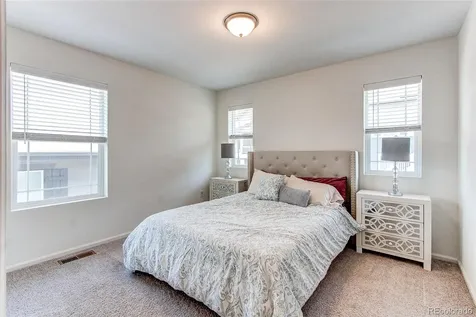 564 Felicity Loop Castle Rock CO 80109