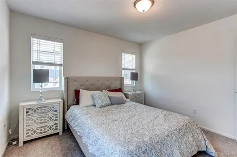 564 Felicity Loop Castle Rock CO 80109
