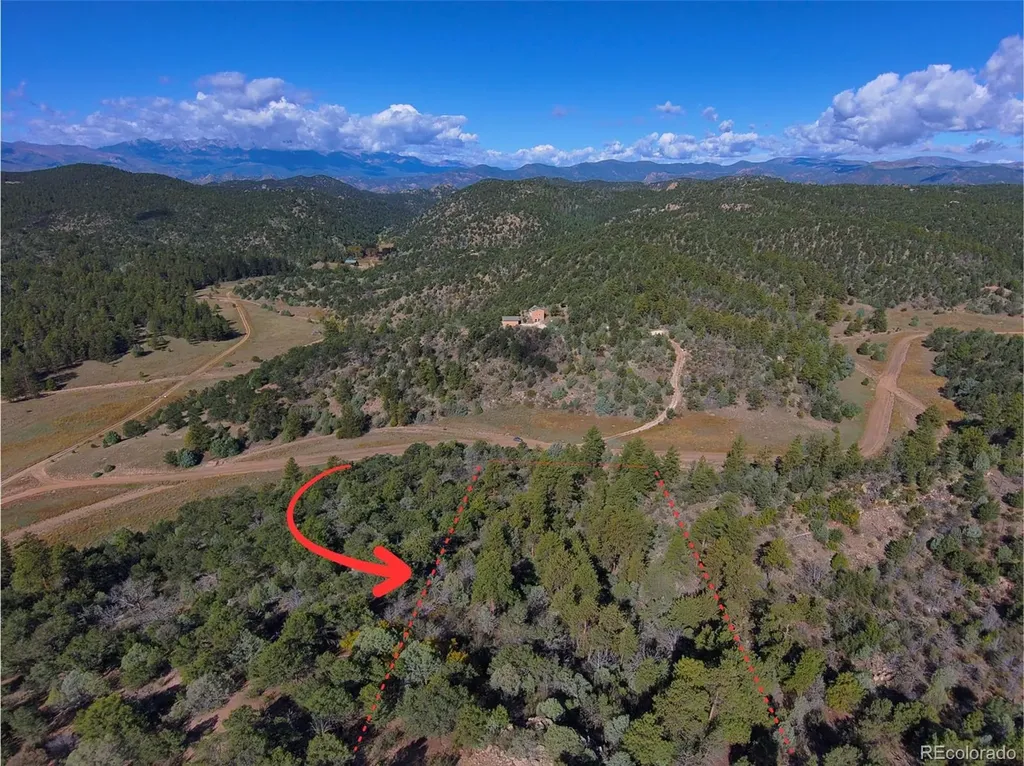 176 Arnold Drive Cotopaxi CO 81223