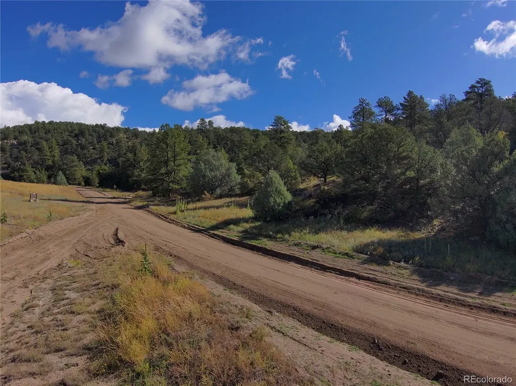 176 Arnold Drive Cotopaxi CO 81223
