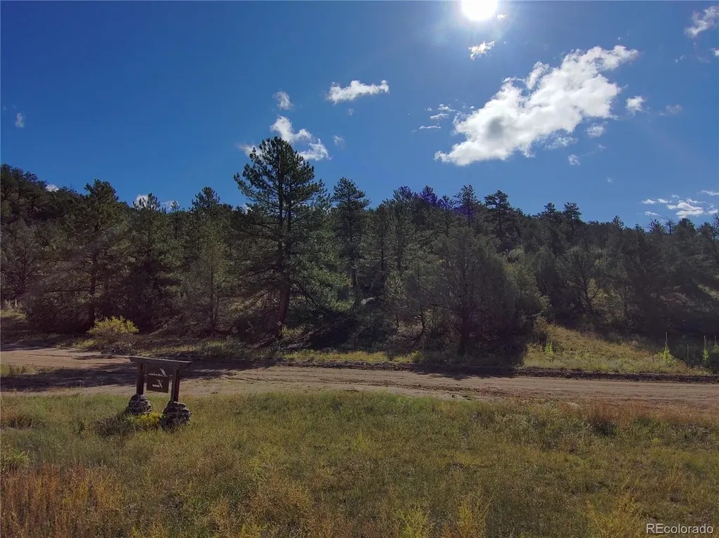 176 Arnold Drive Cotopaxi CO 81223