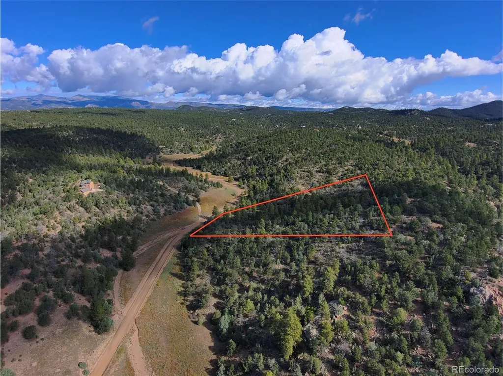 176 Arnold Drive Cotopaxi CO 81223