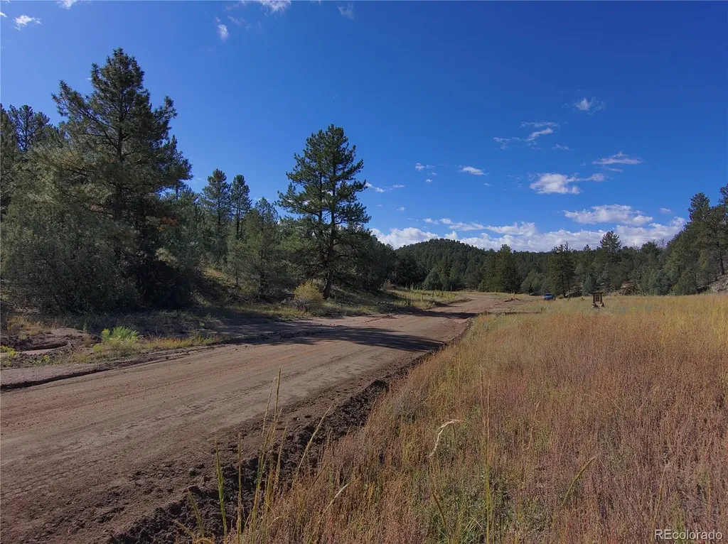 176 Arnold Drive Cotopaxi CO 81223