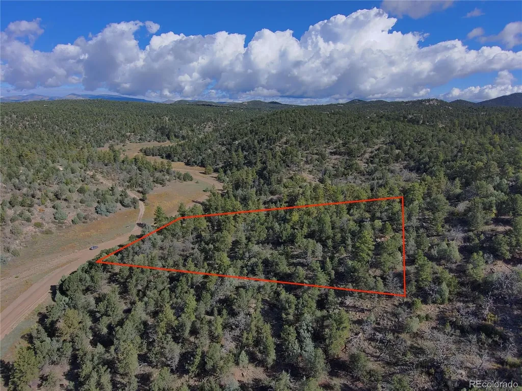 176 Arnold Drive Cotopaxi CO 81223