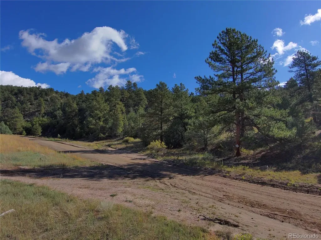 176 Arnold Drive Cotopaxi CO 81223