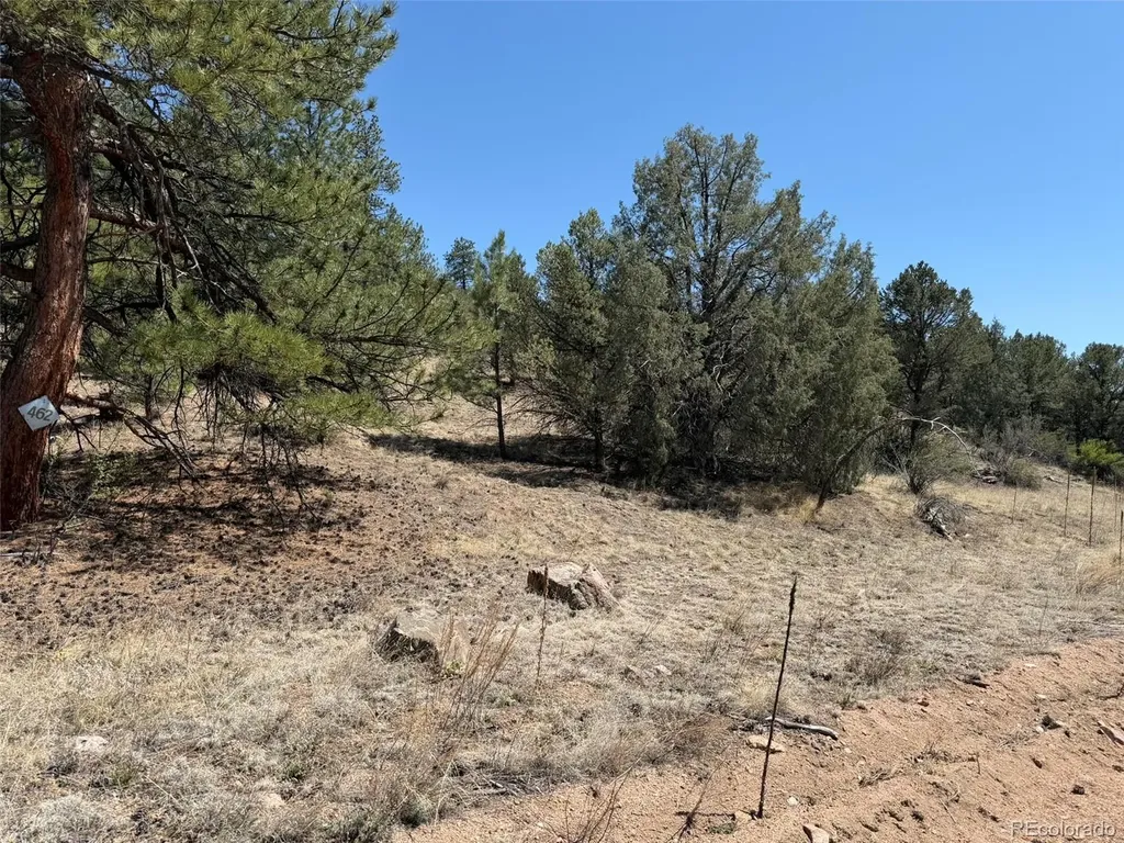 176 Arnold Drive Cotopaxi CO 81223