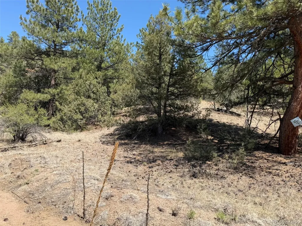 176 Arnold Drive Cotopaxi CO 81223