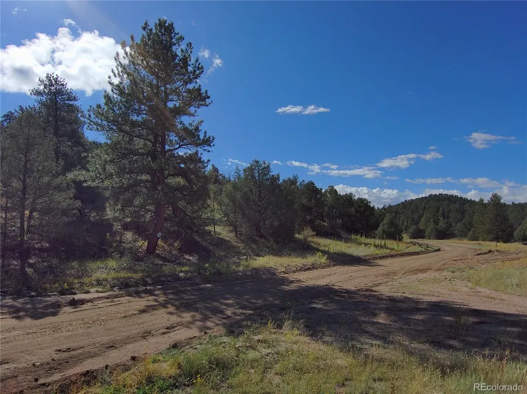 176 Arnold Drive Cotopaxi CO 81223