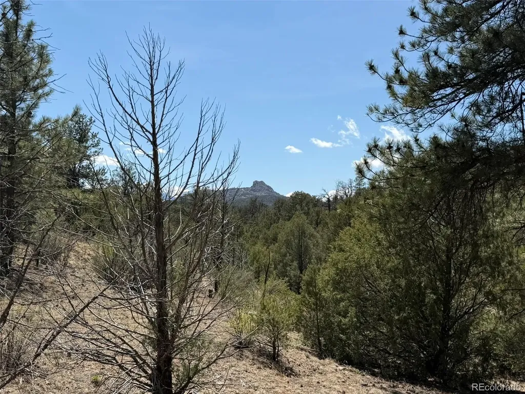 176 Arnold Drive Cotopaxi CO 81223
