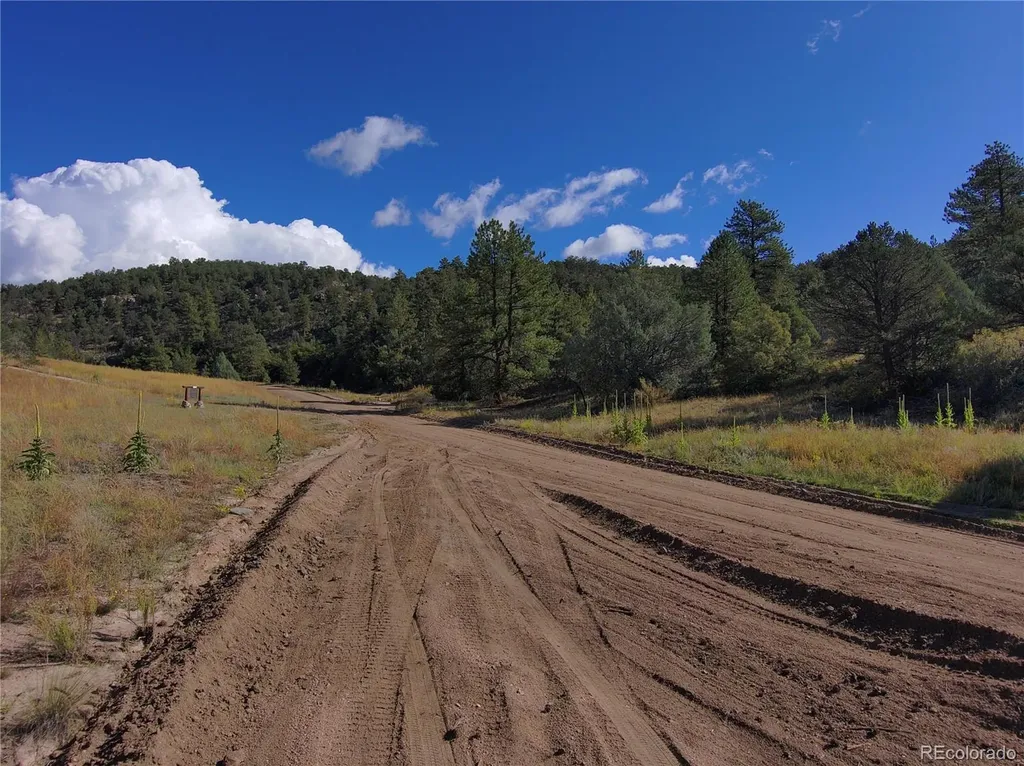 176 Arnold Drive Cotopaxi CO 81223