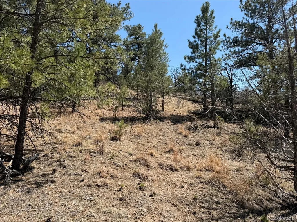 176 Arnold Drive Cotopaxi CO 81223