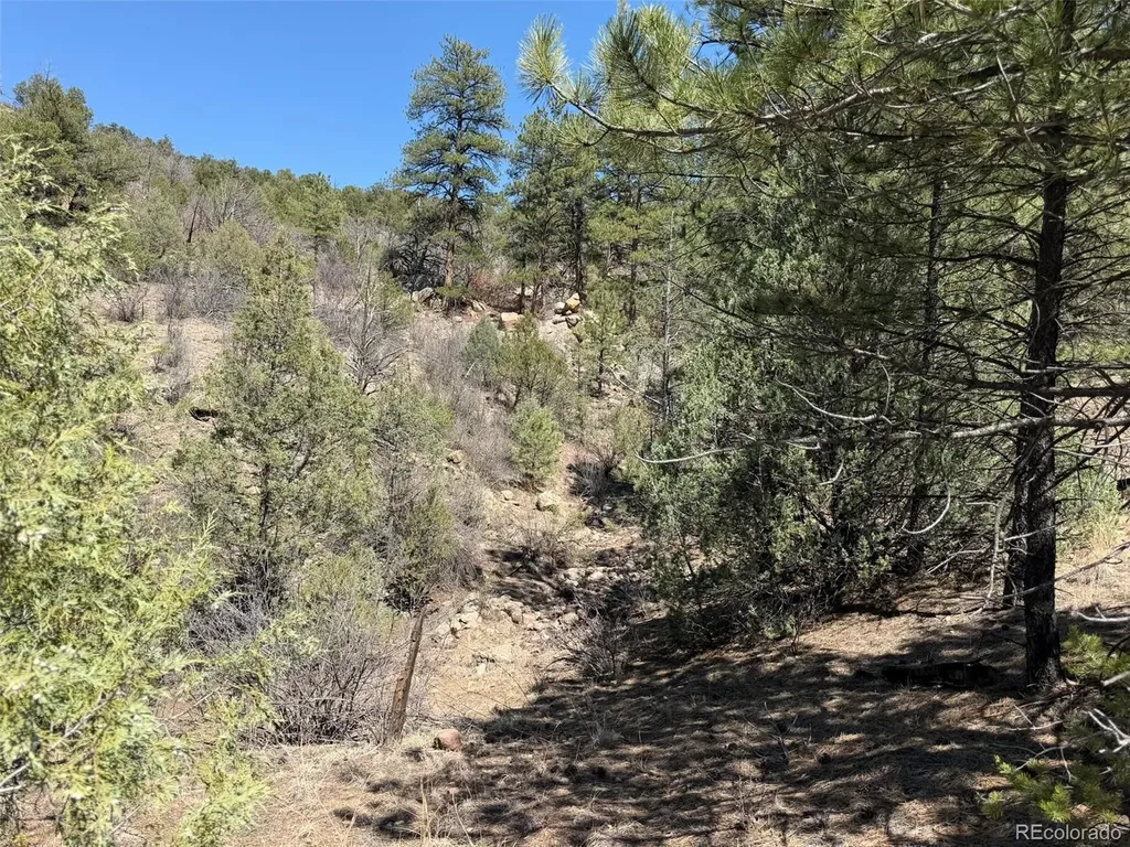 176 Arnold Drive Cotopaxi CO 81223
