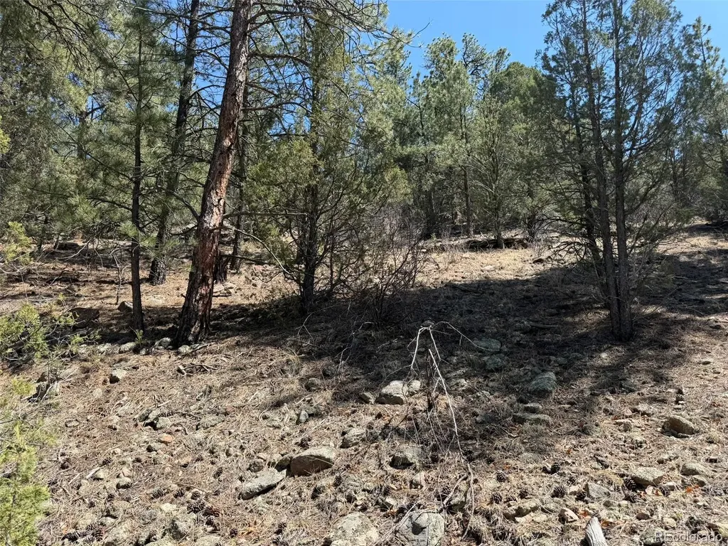 176 Arnold Drive Cotopaxi CO 81223