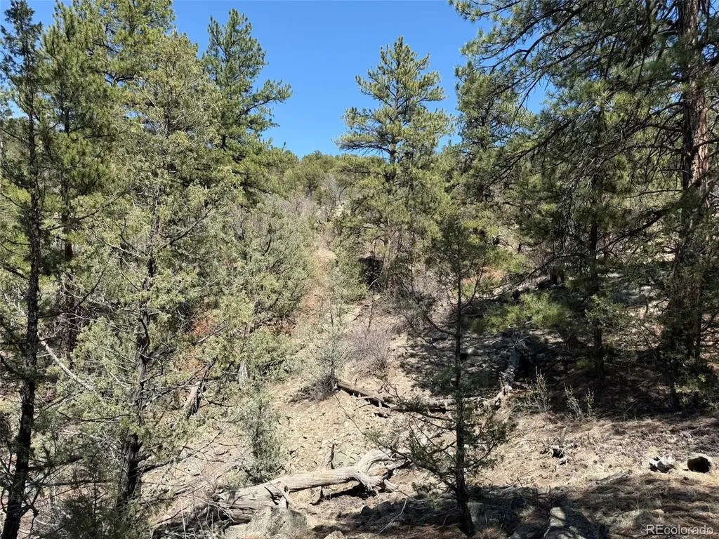 176 Arnold Drive Cotopaxi CO 81223
