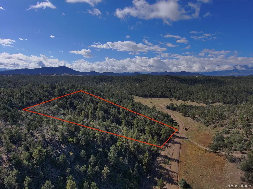 176 Arnold Drive Cotopaxi CO 81223