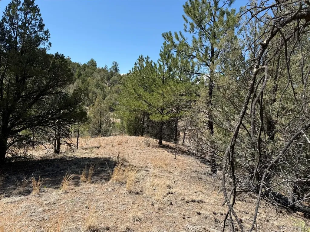176 Arnold Drive Cotopaxi CO 81223