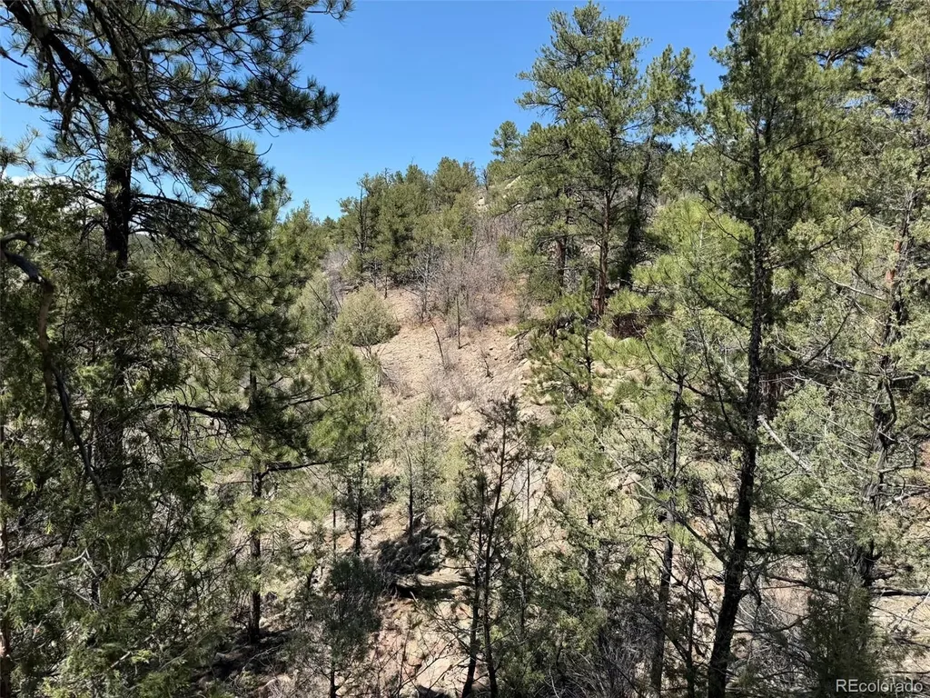 176 Arnold Drive Cotopaxi CO 81223
