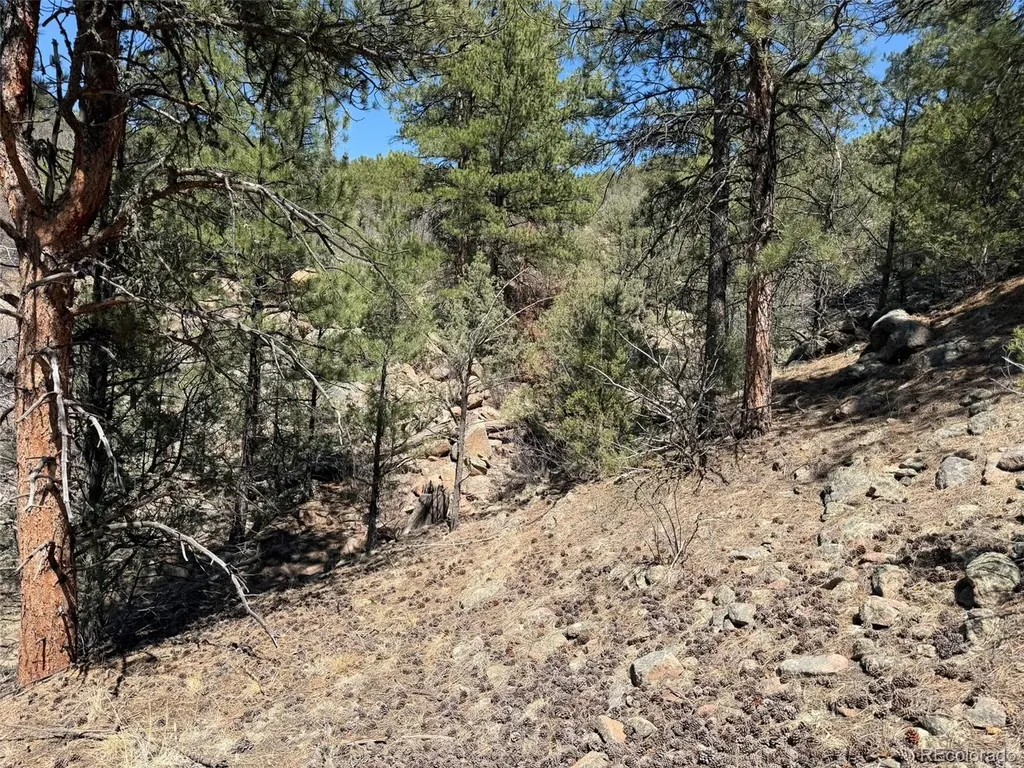 176 Arnold Drive Cotopaxi CO 81223