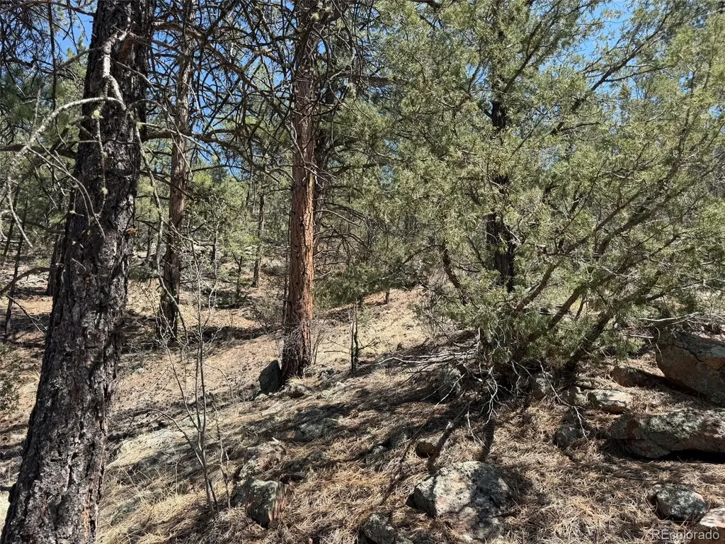 176 Arnold Drive Cotopaxi CO 81223