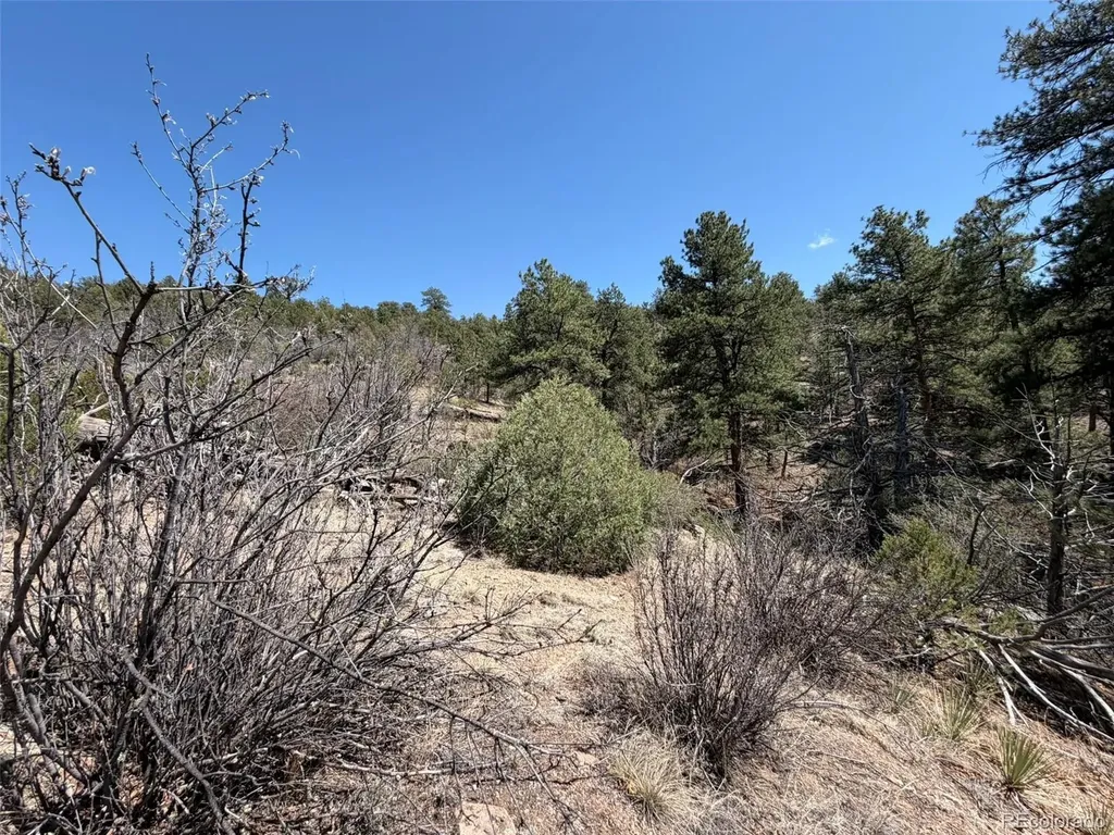 176 Arnold Drive Cotopaxi CO 81223