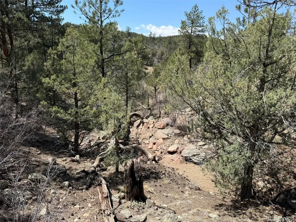176 Arnold Drive Cotopaxi CO 81223