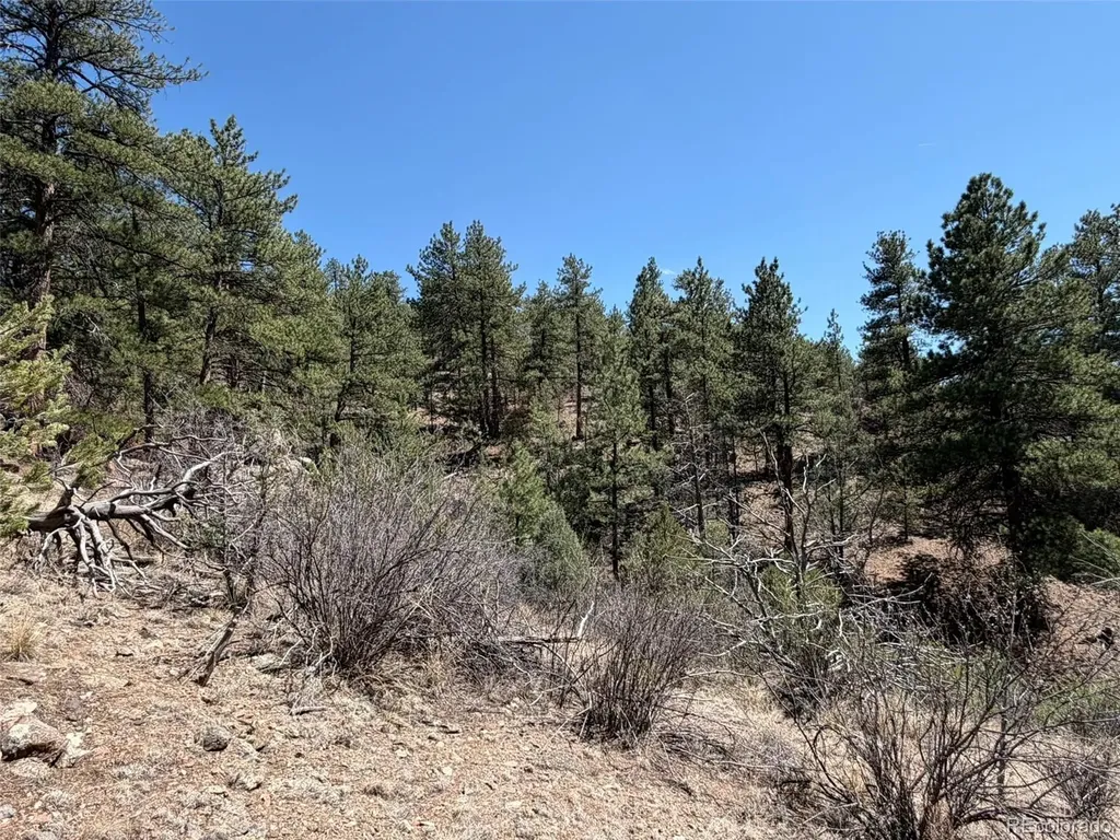 176 Arnold Drive Cotopaxi CO 81223