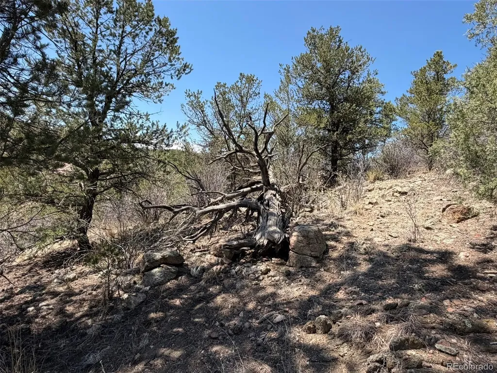 176 Arnold Drive Cotopaxi CO 81223
