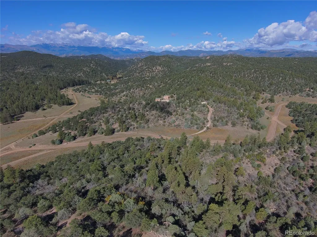 176 Arnold Drive Cotopaxi CO 81223