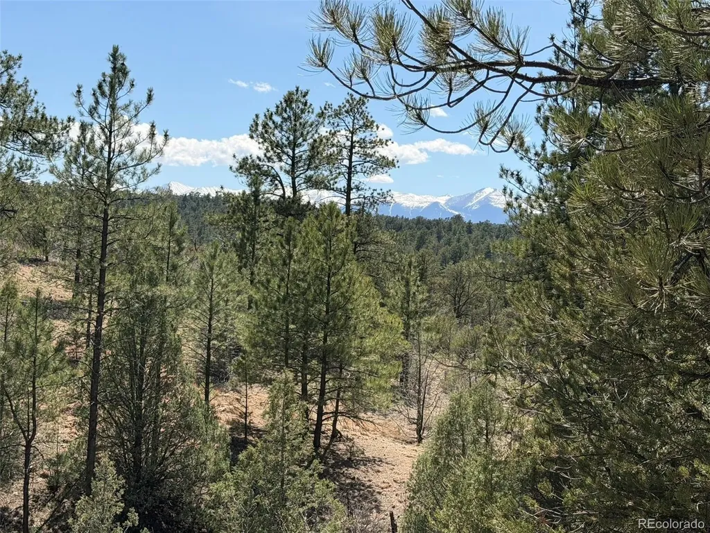 176 Arnold Drive Cotopaxi CO 81223