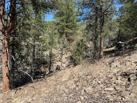 176 Arnold Drive Cotopaxi CO 81223
