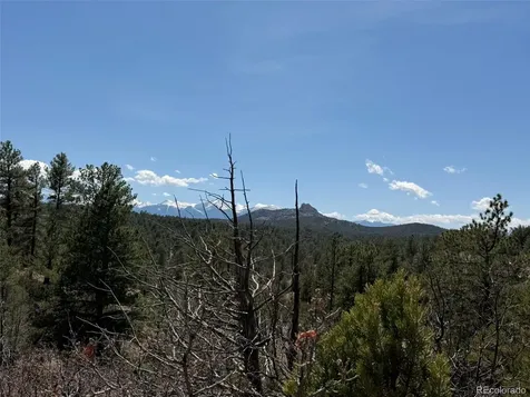 176 Arnold Drive Cotopaxi CO 81223