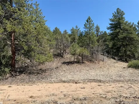 176 Arnold Drive Cotopaxi CO 81223