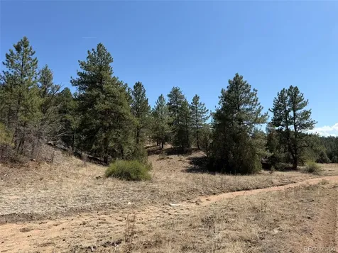 176 Arnold Drive Cotopaxi CO 81223