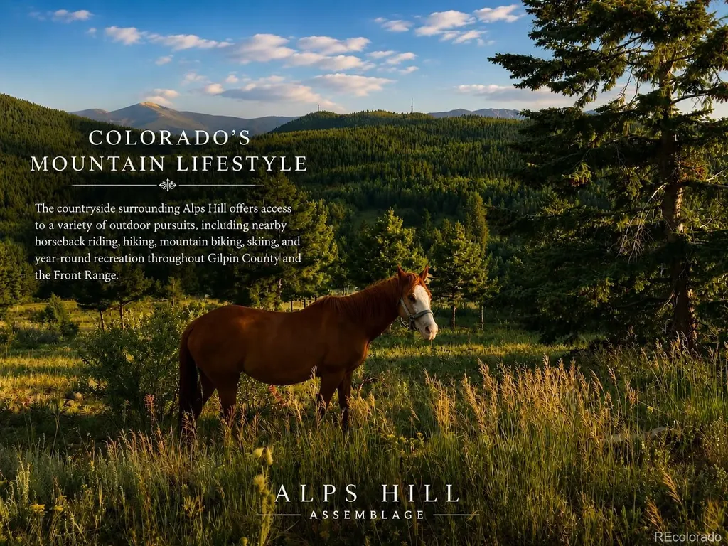 01 Alps Hill Road Central City CO 80427