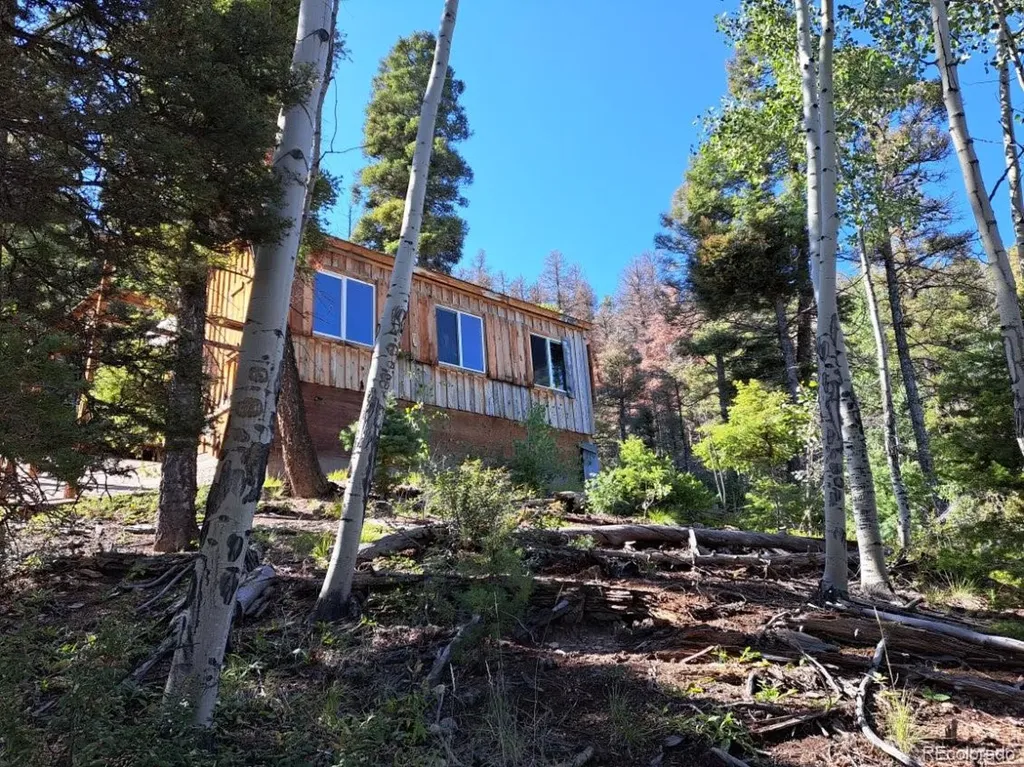 Lot 6026 Bruce Road San Luis CO 81152
