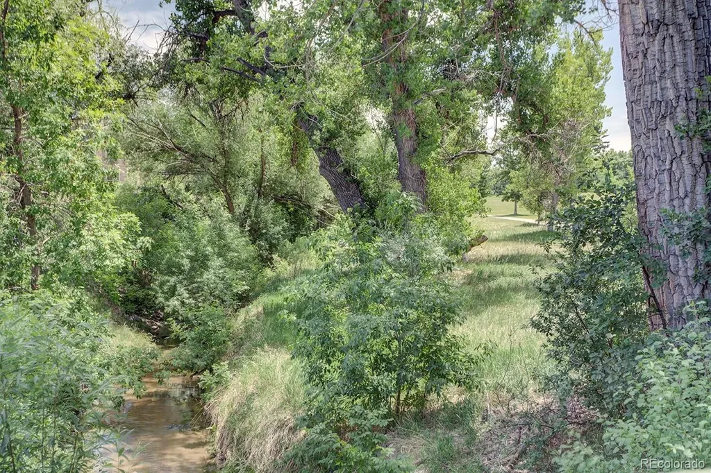 6035 S Milwaukee Way Centennial CO 80121