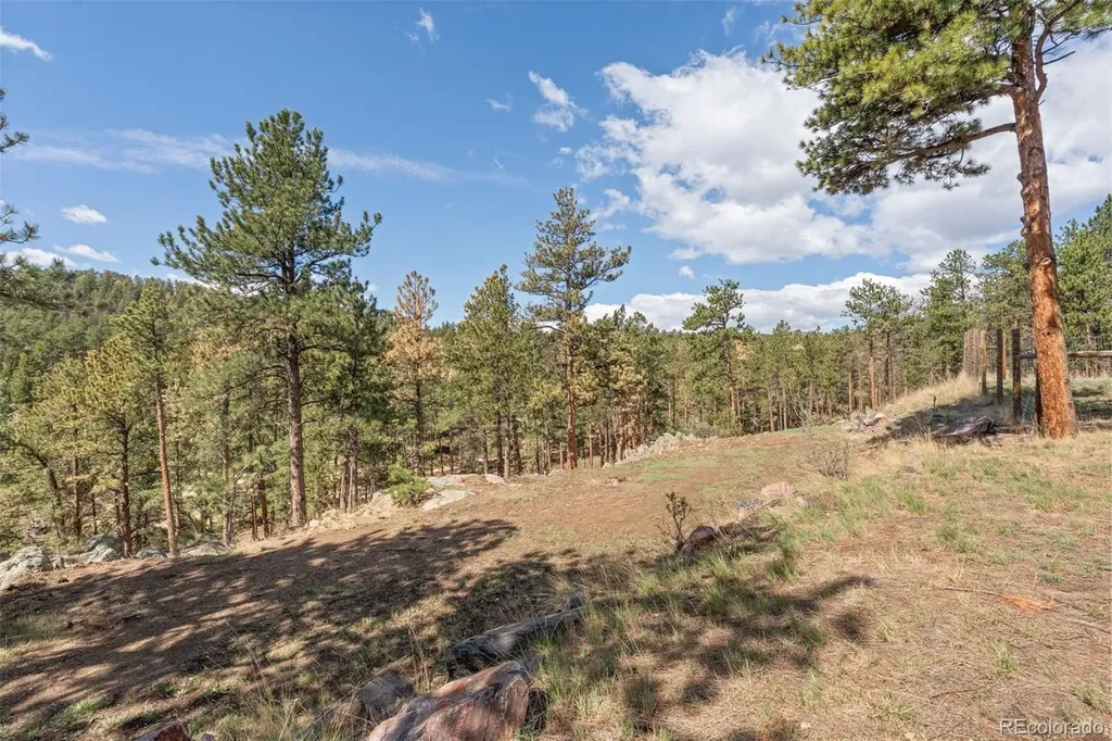 442 Ruby Forest Trail Evergreen CO 80439