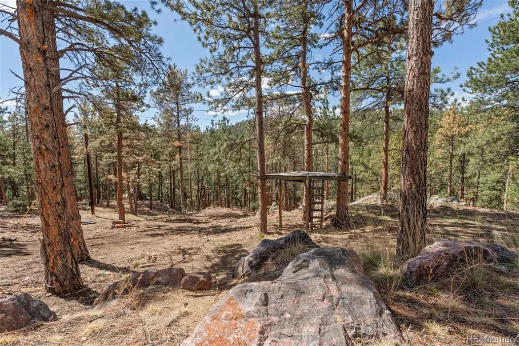 442 Ruby Forest Trail Evergreen CO 80439