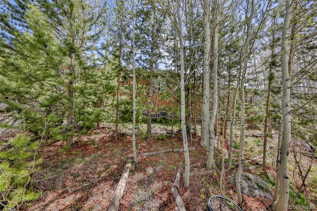 73 County Road 4945 Grand Lake CO 80447