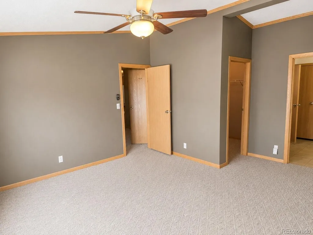 26388 Bassam Circle Buena Vista CO 81211
