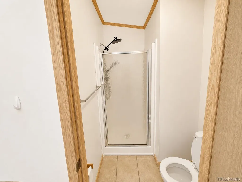 26388 Bassam Circle Buena Vista CO 81211
